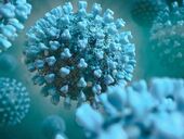 ВОЗ отметила резкий рост заболеваемости коронавирусом в мире - на 52%