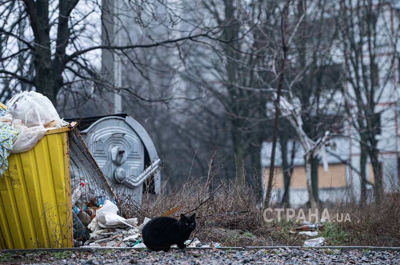 Как выглядит Салтовка в Харькове после обстрелов - фото 25 декабря