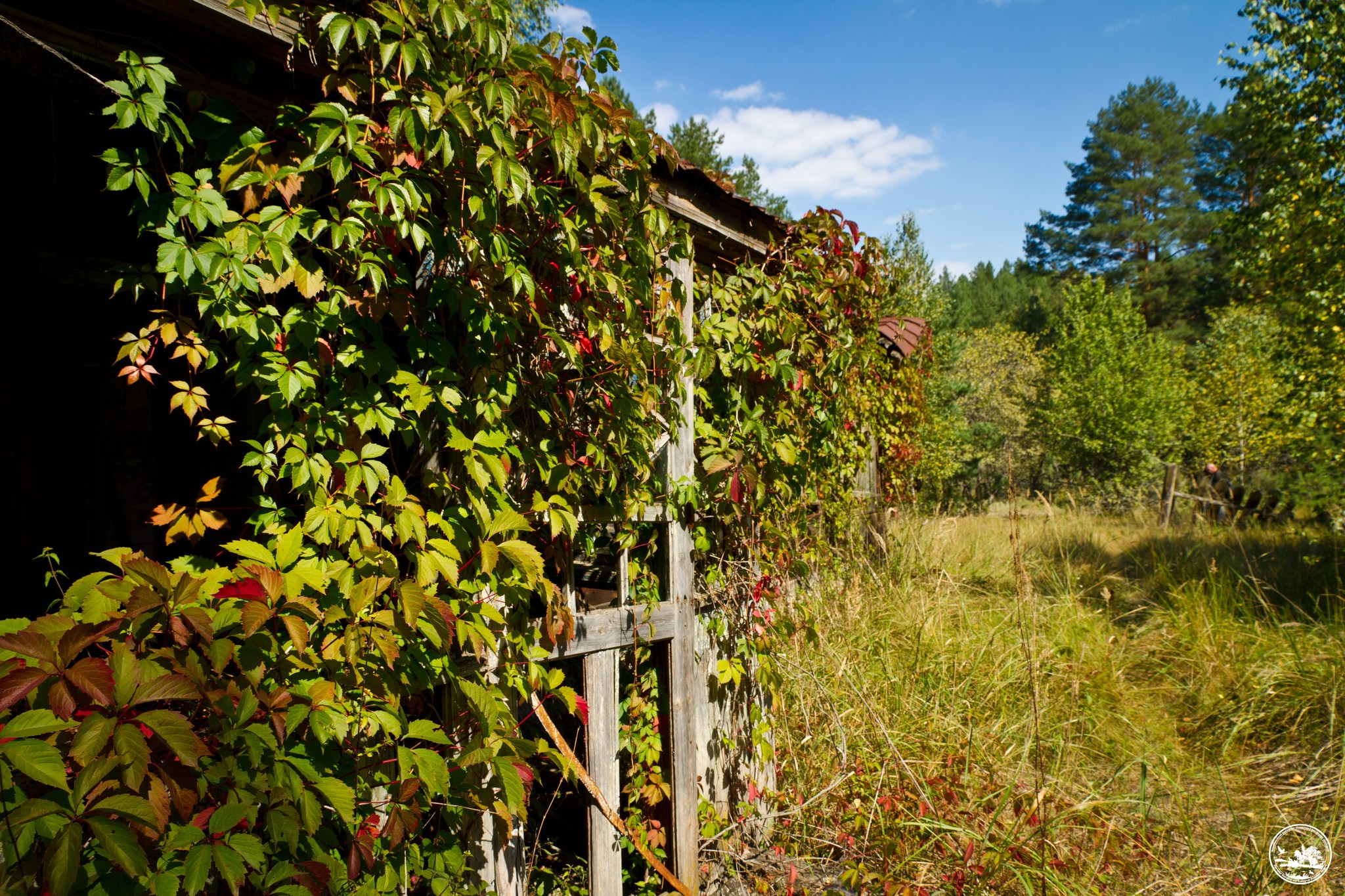 Зона отчуждения ЧАЭС