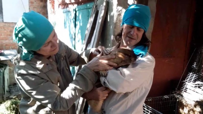 Специалисты Харьковского университета имени Каразина сообщили о том, что харьковский сурок-предсказатель Тимка смог пережить оккупацию