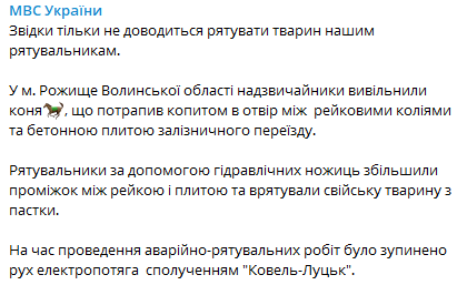 Спасатели помогли коню. Скриншот из телеграм-канала МВД