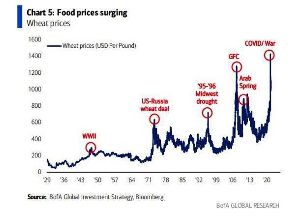 Динамика цен на пшеницу почти за 100 лет