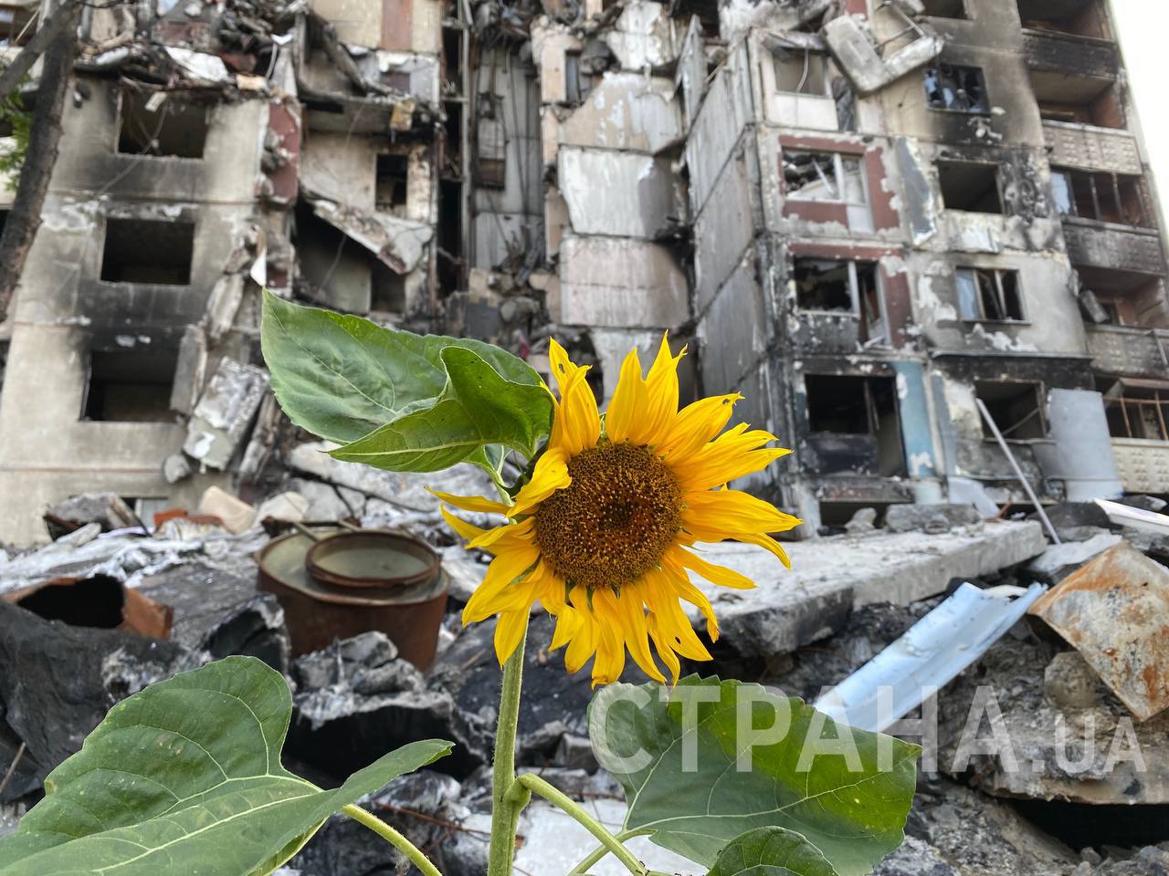 Харьков, Северная Салтовка, фото 1