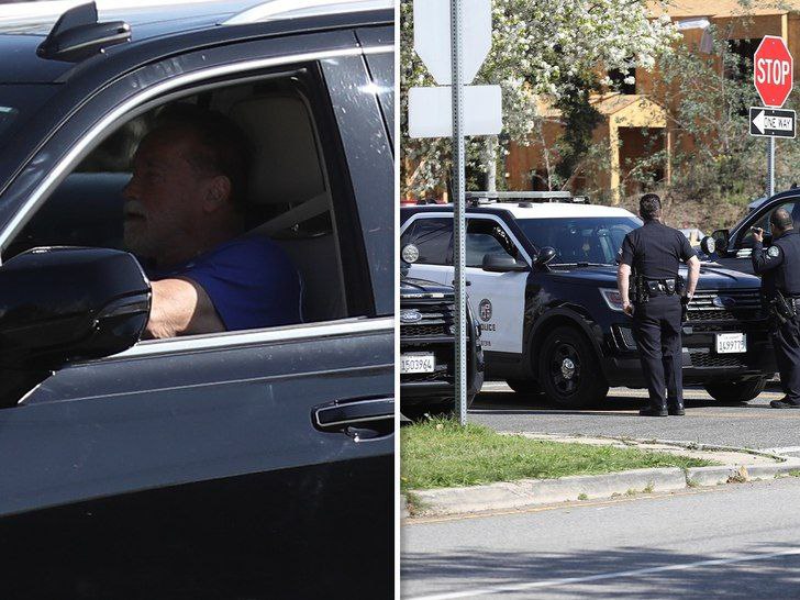 Шварценеггер сбил  велосипедистку