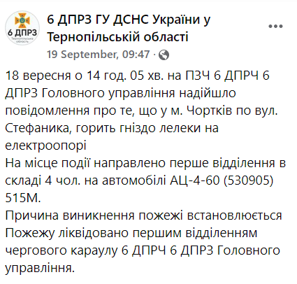 В Чорткове загорелось гнездо аиста на электроопоре