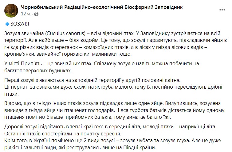 Скриншот из Фейсбука Чернобыльского заповедника