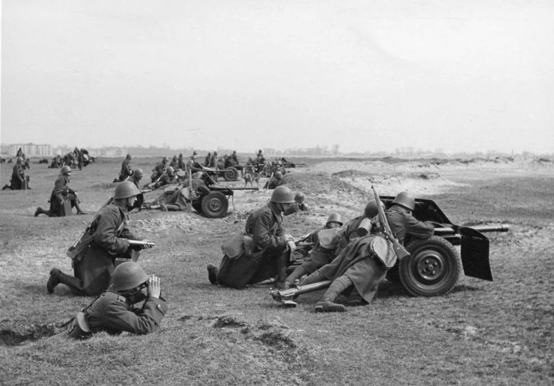 Польські артилеристи на позиції протитанкових гармат wz.36. wz.36 - польське позначення шведської 37-мм протитанкової гармати Бофорс