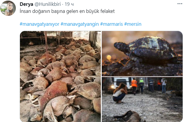 пожар в Турции, фото Derya @Hunilikbiri
