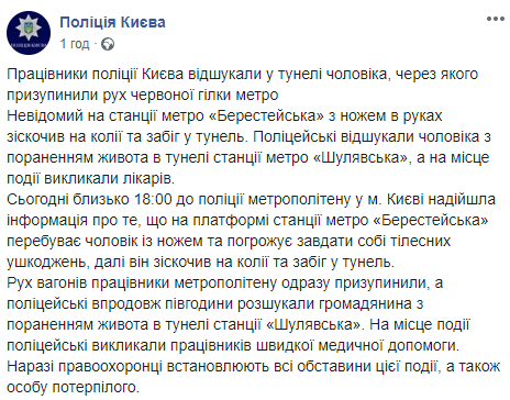 В Киеве мужчина с ножом запрыгнул в тоннель метро и заблокировал движение по красной ветке. Скриншот: Полиция Киева
