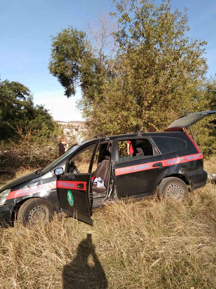 Спасение собаки из шахты. Фото: Facebook / Мария Говяда