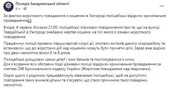 В Ужгороде нашли мертвого котенка со следами жестокого обращения. Скриншот из фейсбука Полиции Закарпатской области